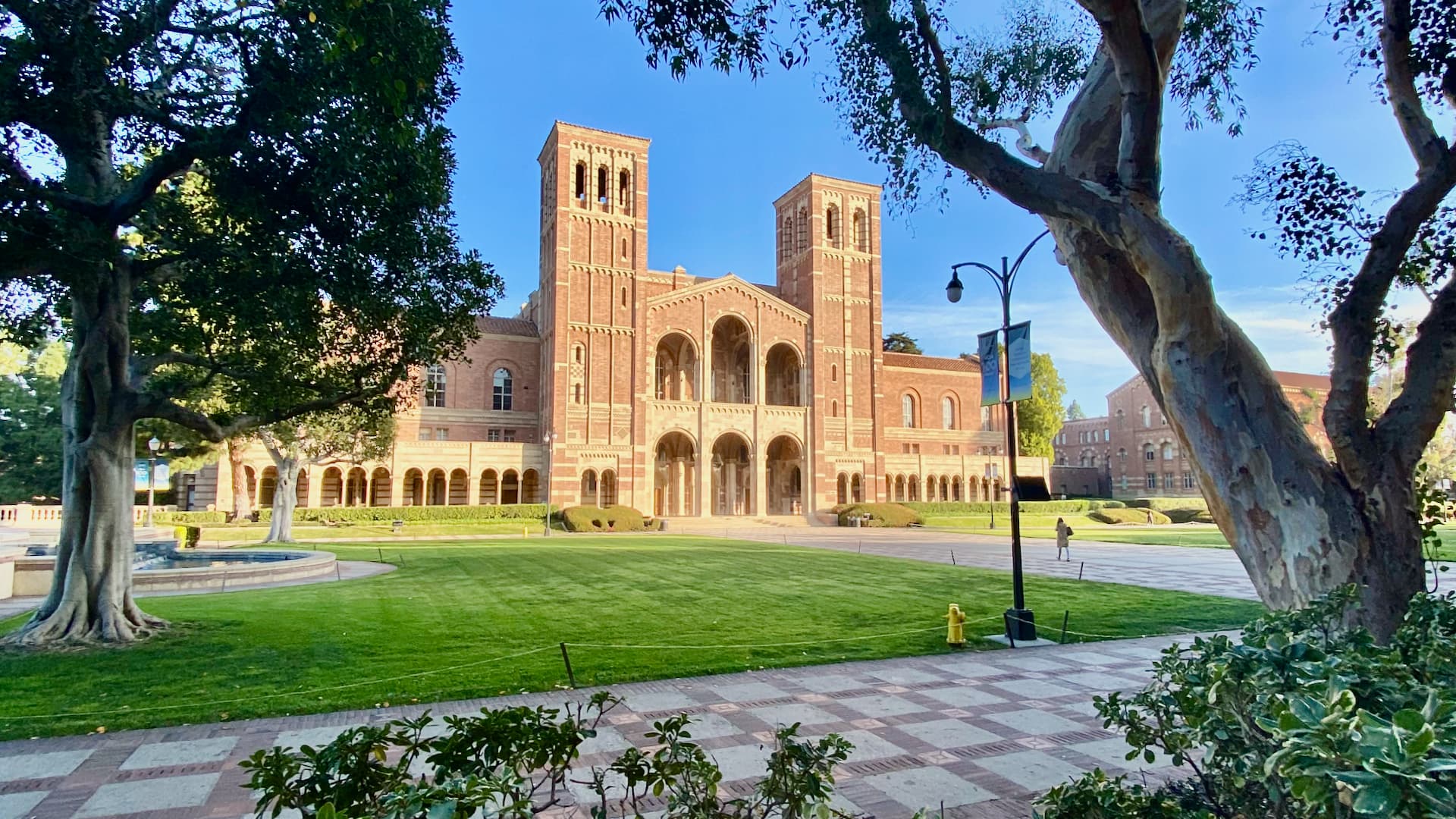 University of California - Los Angeles