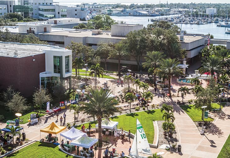 University of South Florida campus